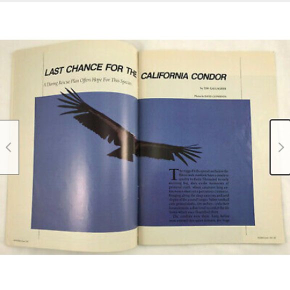 WildBird Guide to Birding Magazine #1 June 1987 1ST ISSUE California Condor - Picture 3 of 4